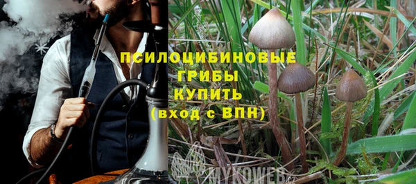 а пвп мука Богородицк