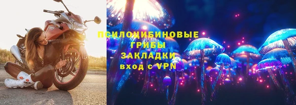 мяу мяу мука Богданович